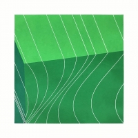 <i>Conflicting View 1</i>, 2018 <br>Screenprint <br>14” x 14” 1