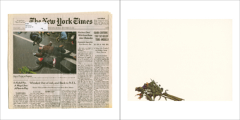 #5 Laura Fields Front Pages Flowers Nov 17, 2014 r