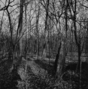 3_Gettysburg woods culph's hill -047 EL edit