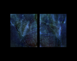 Caleb Charland, <i>Black Dots on My Palms Anywhere Lines Crossed, Scanned and Inverted to Look Like Stars</i>, 2009