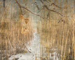Gabriel Martinez, "Bayside (1)", 35.5" x 53.5", archival inkjet, silkscreen, silver leaf on paper, 2014