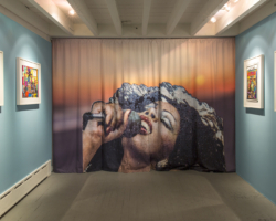 Gabriel Martinez, Live and More, dye sublimation on fabric
93" x 123"-145.5", 2015