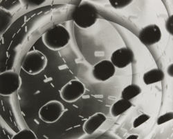 Gabriel Martinez, "Radial Projection (35)",
unique silver gelatin print, 24" x 20", 2015