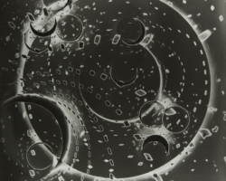 Gabriel Martinez, "Radial Projection (38)", unique silver gelatin print, 24" x 20", 2015