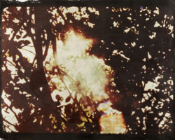 Gabriel Martinez, "BITS (Bayside 2)", inkjet image transfer, silkscreen, palladium leaf on paper, 16" x 21", 2015
Courtesy: Wakefield Poole