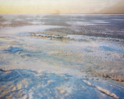 Gabriel Martinez, "Bayside (5)", 35.5" x 53.5", archival inkjet, silkscreen, silver leaf on paper, 2014