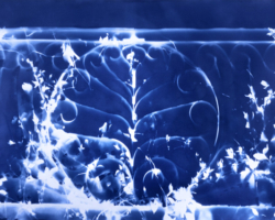 Martha Madigan, "Falls Bridge", 1981, Cyanotype, Courtesy of the artist