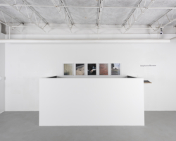 By the Book, Installation View, 2016, Photo: Jaimephoto
