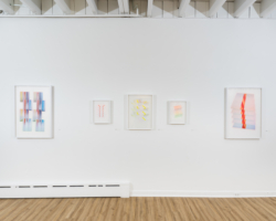 Jeffrey Dell: Sightings, Installation View, 2016, Photo: Jaimephoto