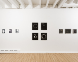 <i>Celestial/Terrestrial</i>, Installation View, 2016, Photo: Jaimephoto