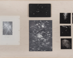 <i>Victoria Burge: Penumbra</i>, Installation View, 2016, Photo: Jaimephoto