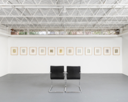Installation view. Photo: Jaime Alvarez