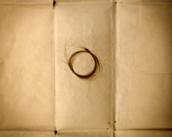 Keith Carter, <i>Lock of Hair</i>, 2018