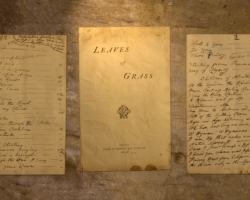 Keith Carter, <i>Leaves of Grass</i>, 2018