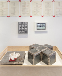 Installation view of work by María Verónica San Martín. Photo: Jaime Alvarez