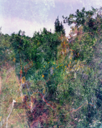 Young Sun Han, <i>Passages from a Memoir: Mapping Manguri</i>, 2019