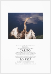 Keris Salmon, <i>Cargo</i>, from the series “We Have Made These Lands What They Are: The Architecture of Slavery,” 2016 – 2017. Published by Sockeyelabs. Photo courtesy the Artist and Arnika Dawkins Gallery, Atlanta