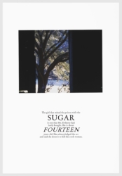 Keris Salmon, <i>Sugar</i>, from the series “We Have Made These Lands What They Are: The Architecture of Slavery,” 2016 – 2017. Published by Sockeyelabs. Photo courtesy the Artist and Arnika Dawkins Gallery, Atlanta