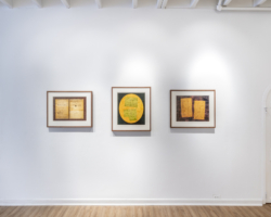 Installation view. Photo: Jaime Alvarez