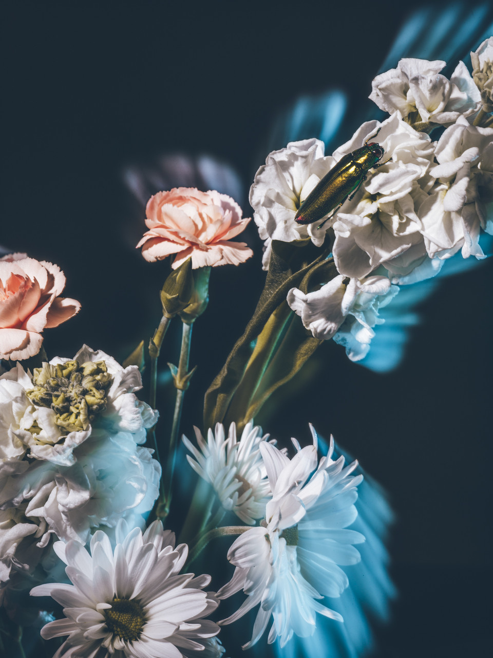 Bingqin Zhang Finalist – The Print Center