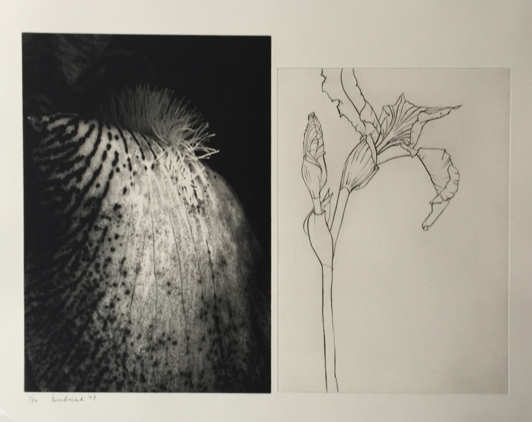 The Print Center Edition: Enid Mark