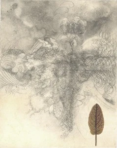 Shelley Thorstensen