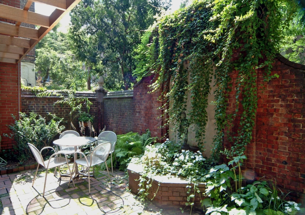 The garden